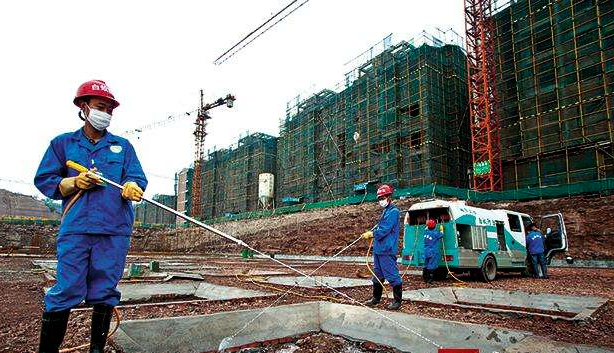 專業(yè)白蟻防治 專業(yè)白蟻防治